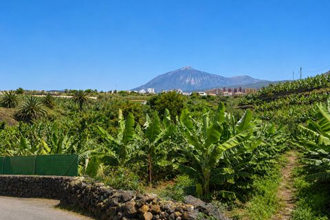 Bauernhof in San Marcos, Tenerife - Foto 5